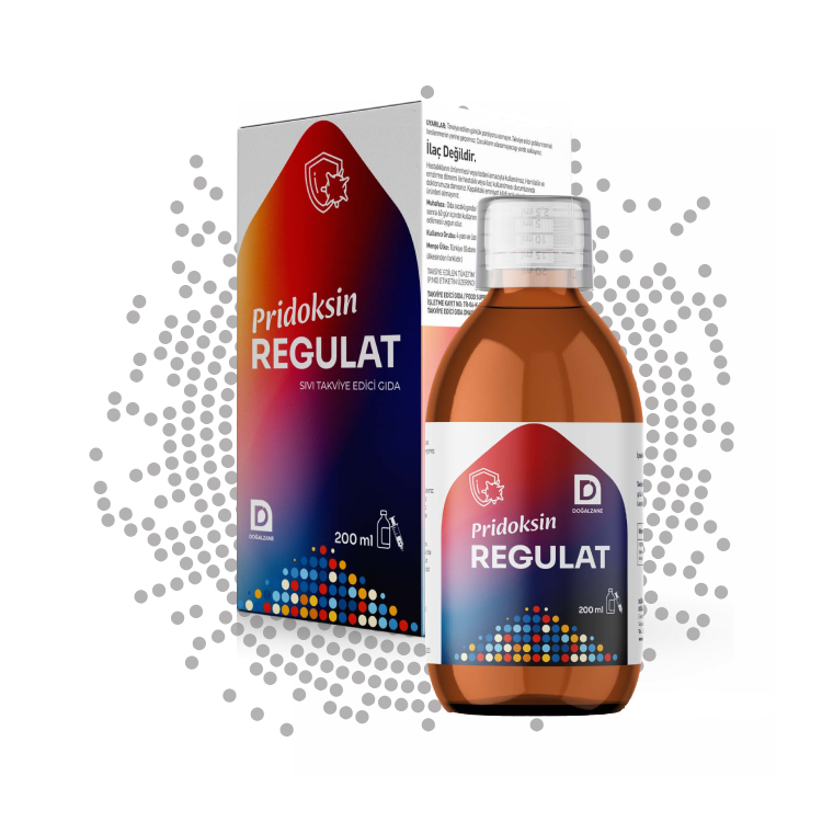 Pridoksin Regulat